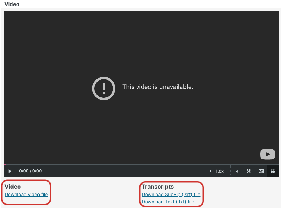 download_video.png